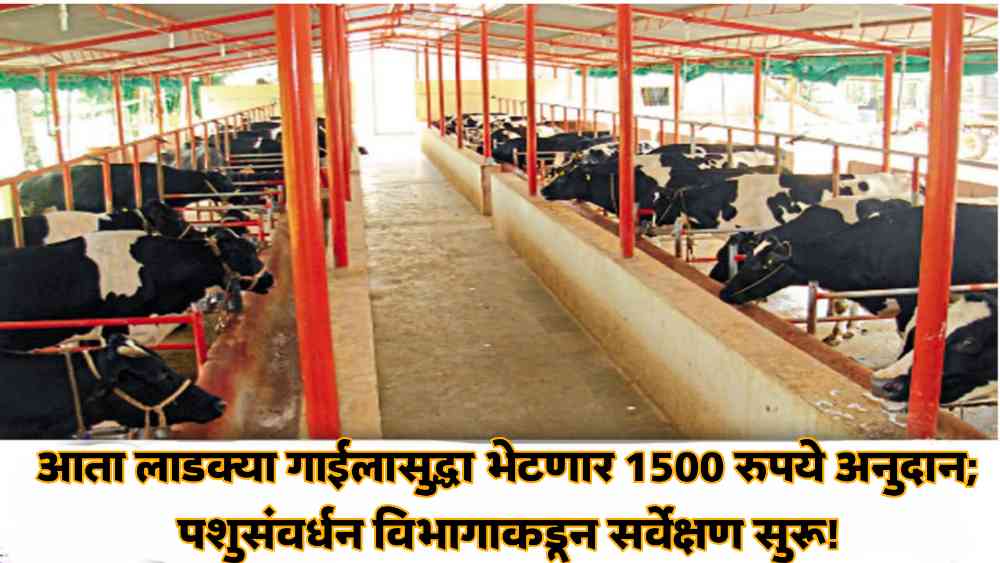 Anudana yojana maharaṣṭra: