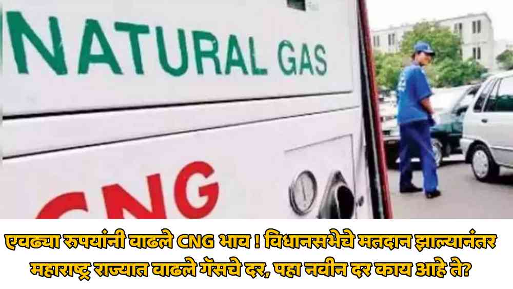CNG Fuel Price