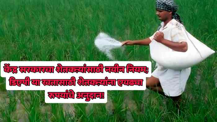 DAP Fertilizer Subsidy