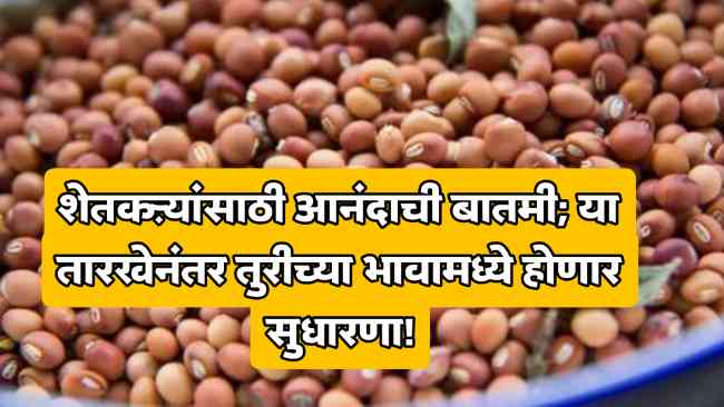 Tur Price Maharashtra