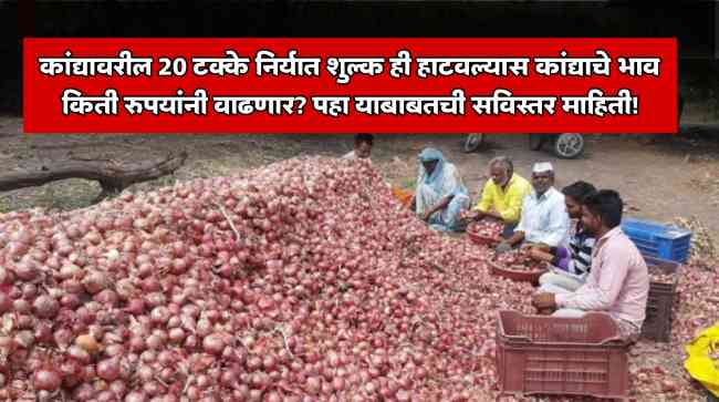 Onion Market Today's Prices
